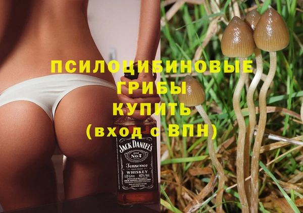 spice Алексин