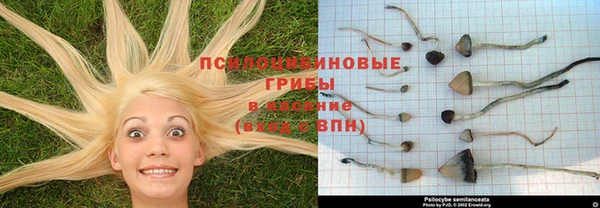 spice Алексин