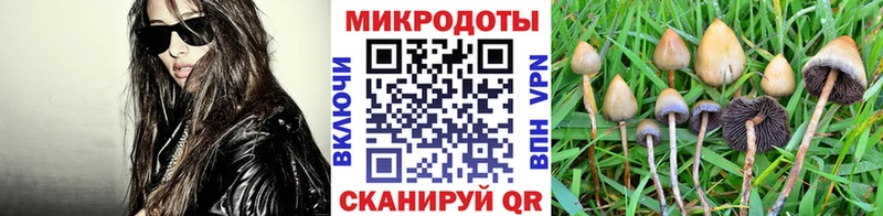 площадка наркотические препараты  купить закладку  Ишим  Псилоцибиновые грибы прущие грибы 