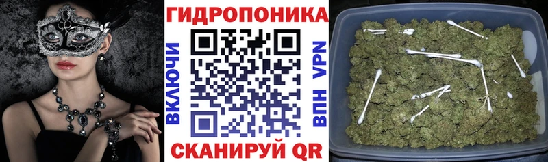 кракен рабочий сайт  купить  цена  Ишим  Канабис VHQ 